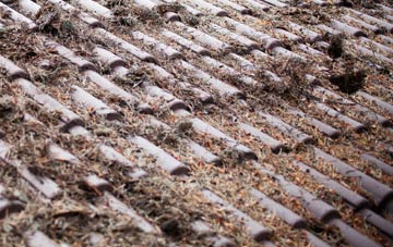 Abronhill roof cleaning companies